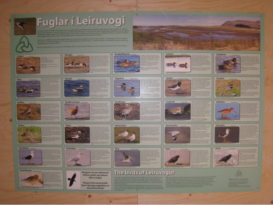 Fuglaskoðunarhúsið í Leiruvogi