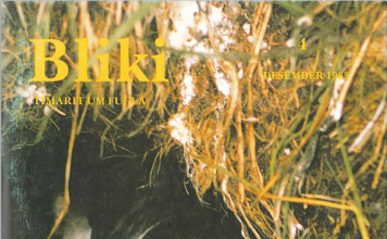 Bliki 4, 1985