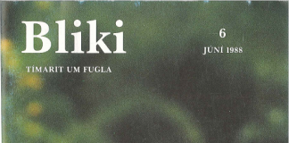 Bliki 6, 1988