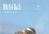 Bliki 14, 1994