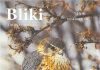 Bliki 16, 1995