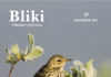 Bliki 28, 2007